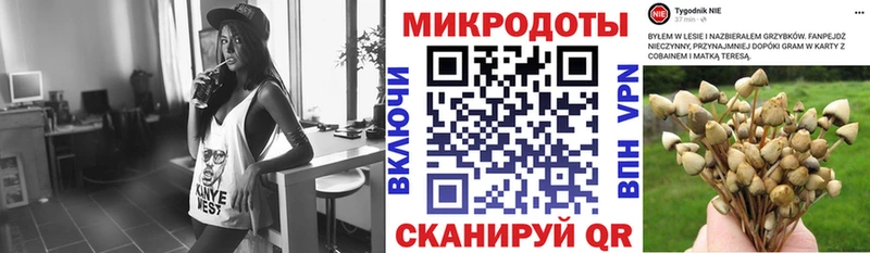 Псилоцибиновые грибы Psilocybine cubensis  Алзамай 